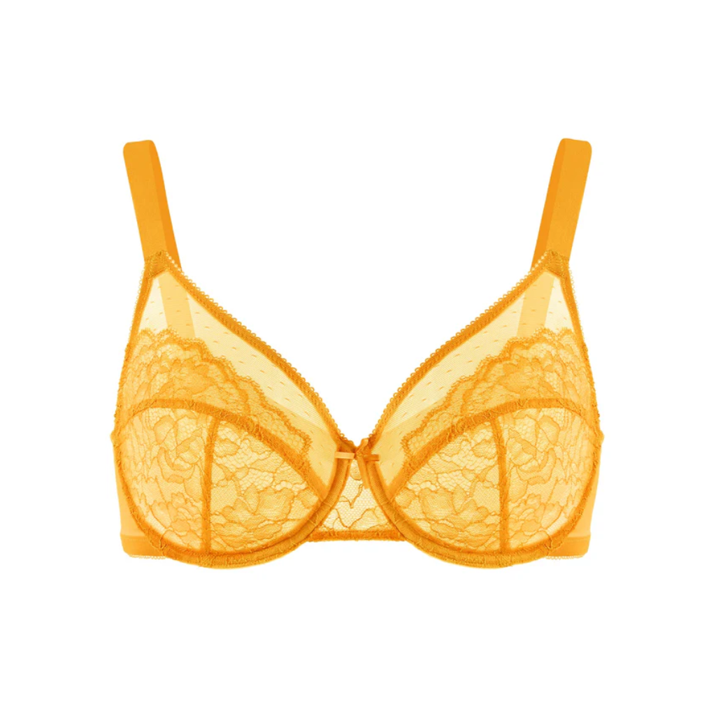 Minimizer Bra